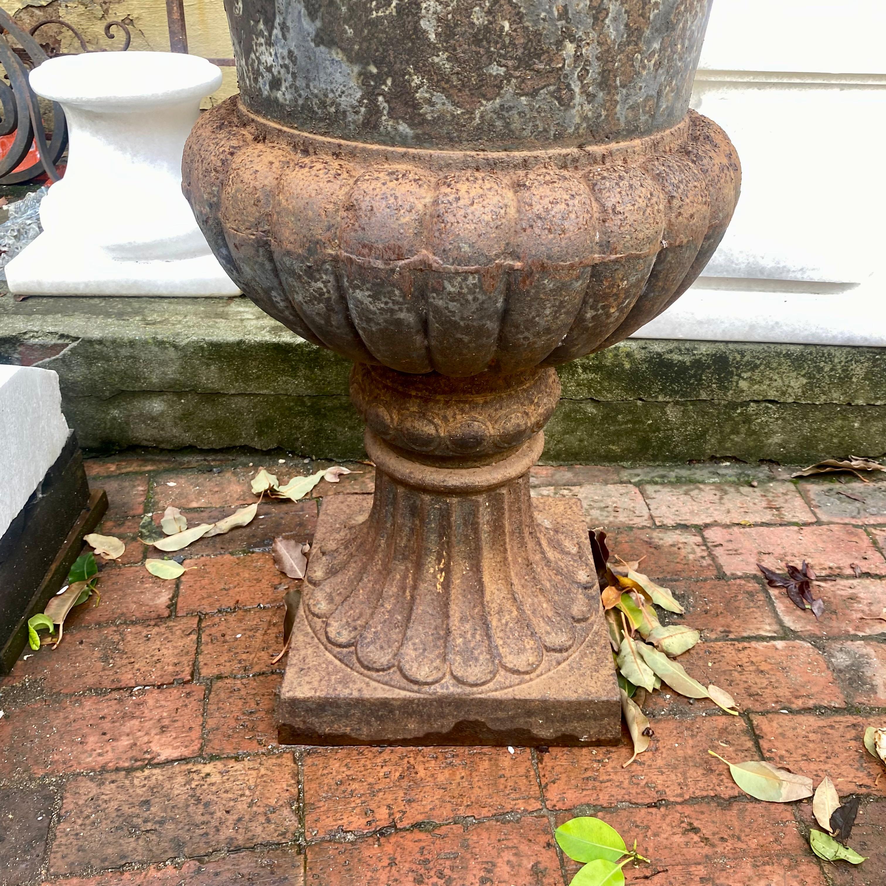 Rustic Cast Iron Urn Single - SOLD