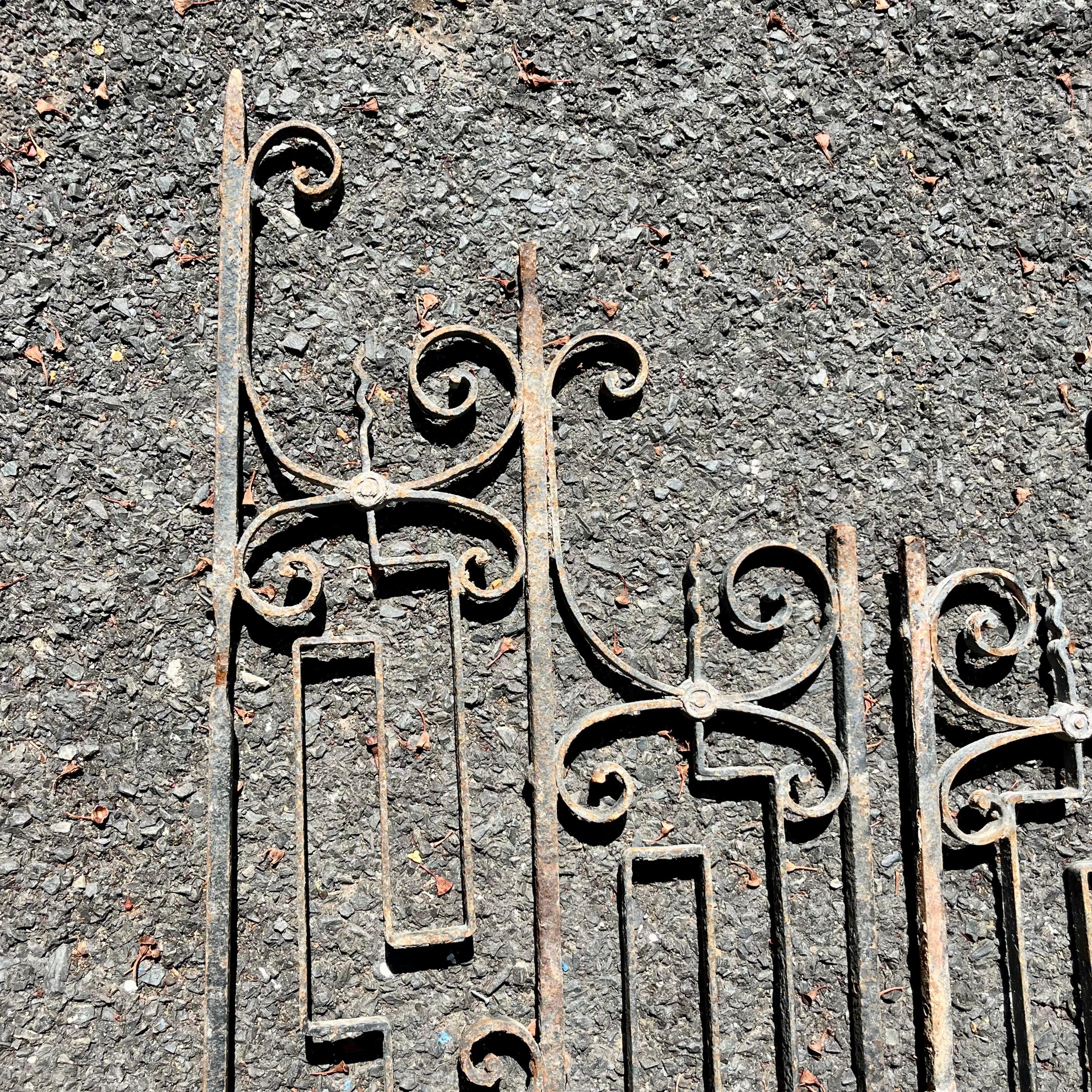 Salvaged Two Paneled Gate