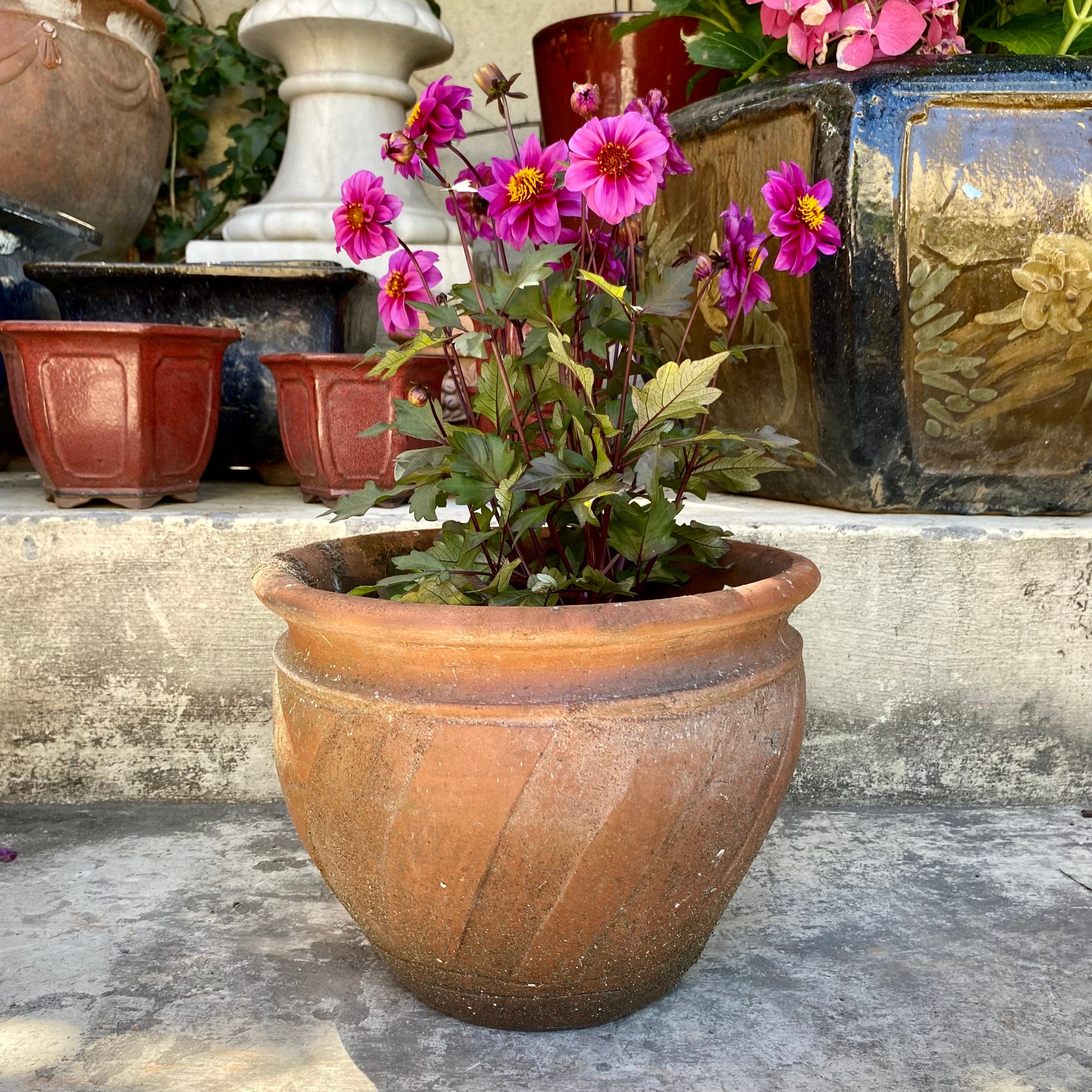 Small Aged Terracotta pot