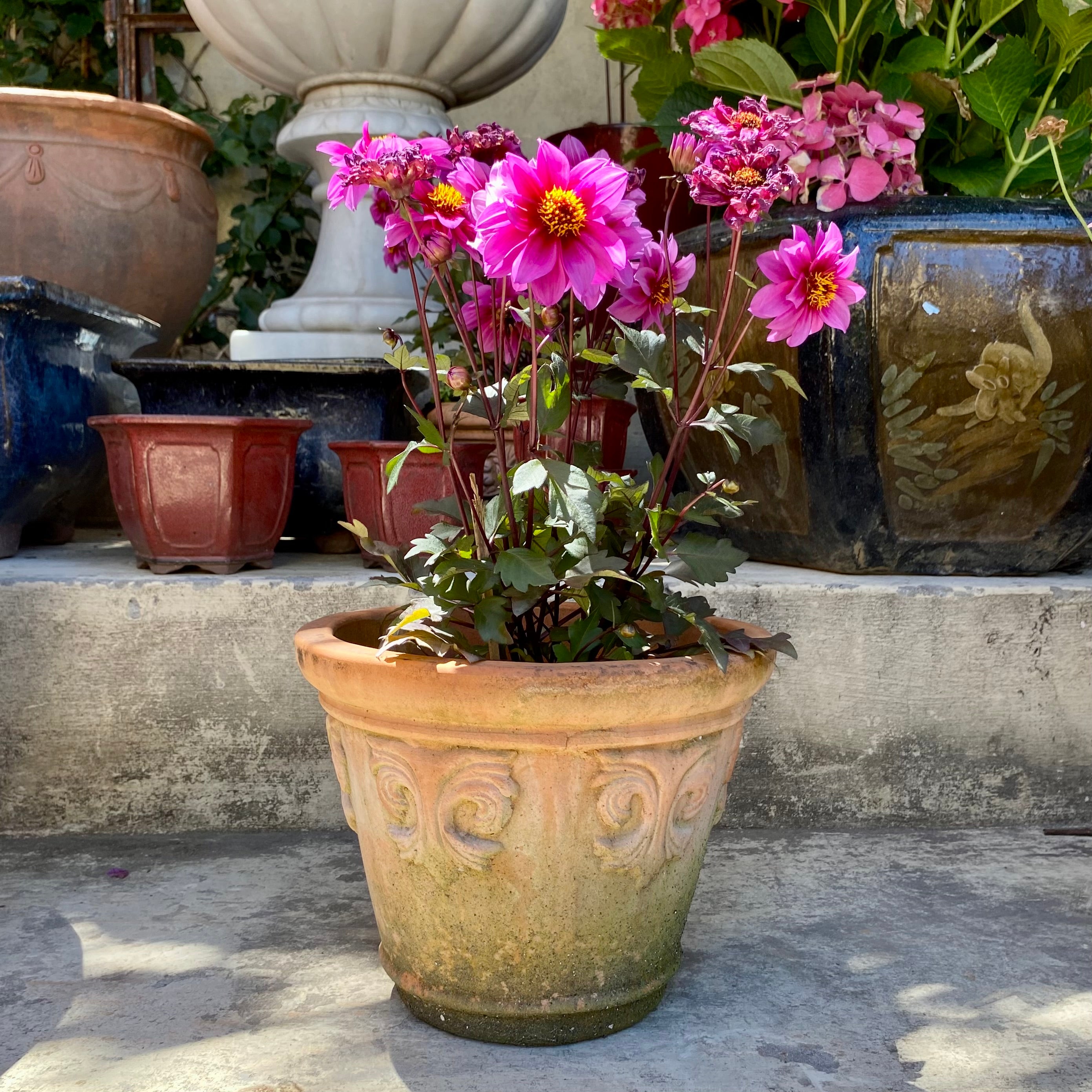 Small Aged Terracotta Pots