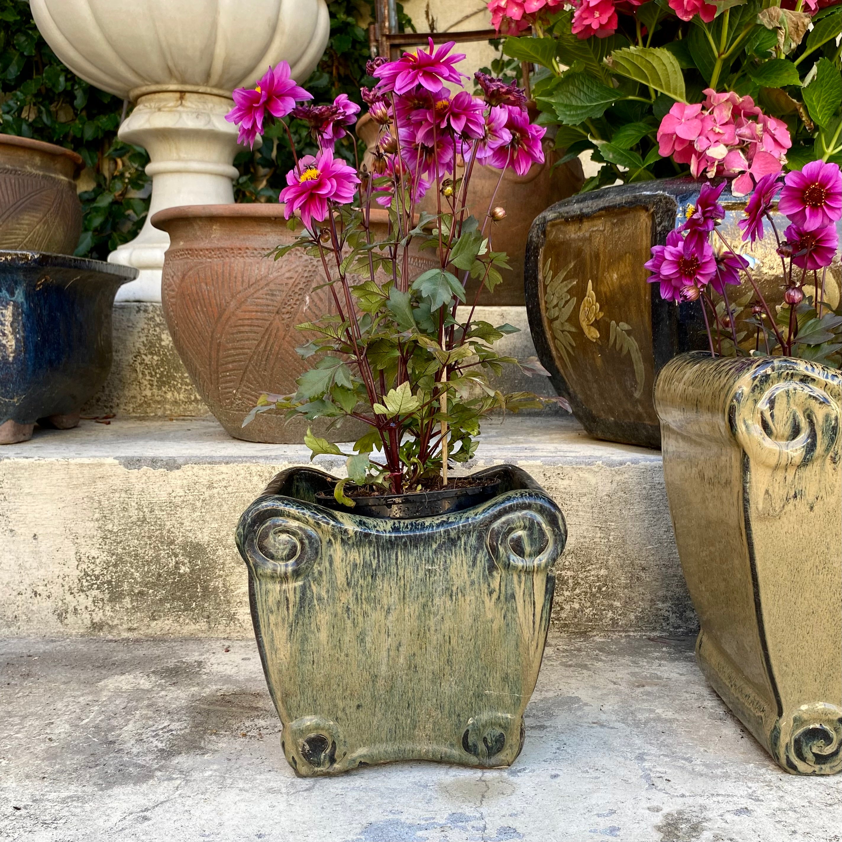 Asian Style Glazed Terracotta Planters