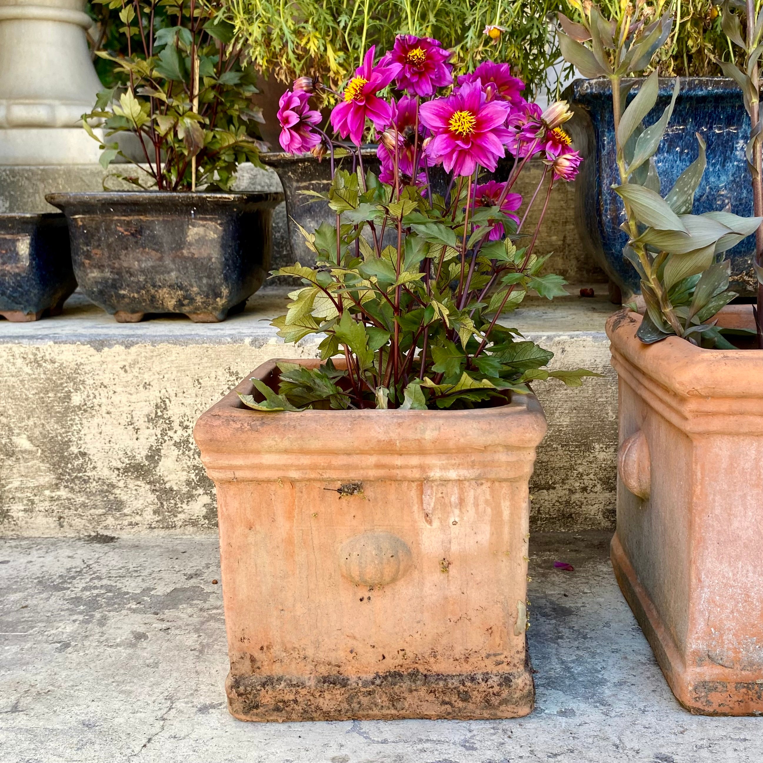 Aged Italian Style Square Terracotta Planters - SOLD