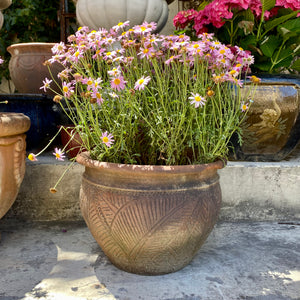 Terracotta Pot with Leaf Detail