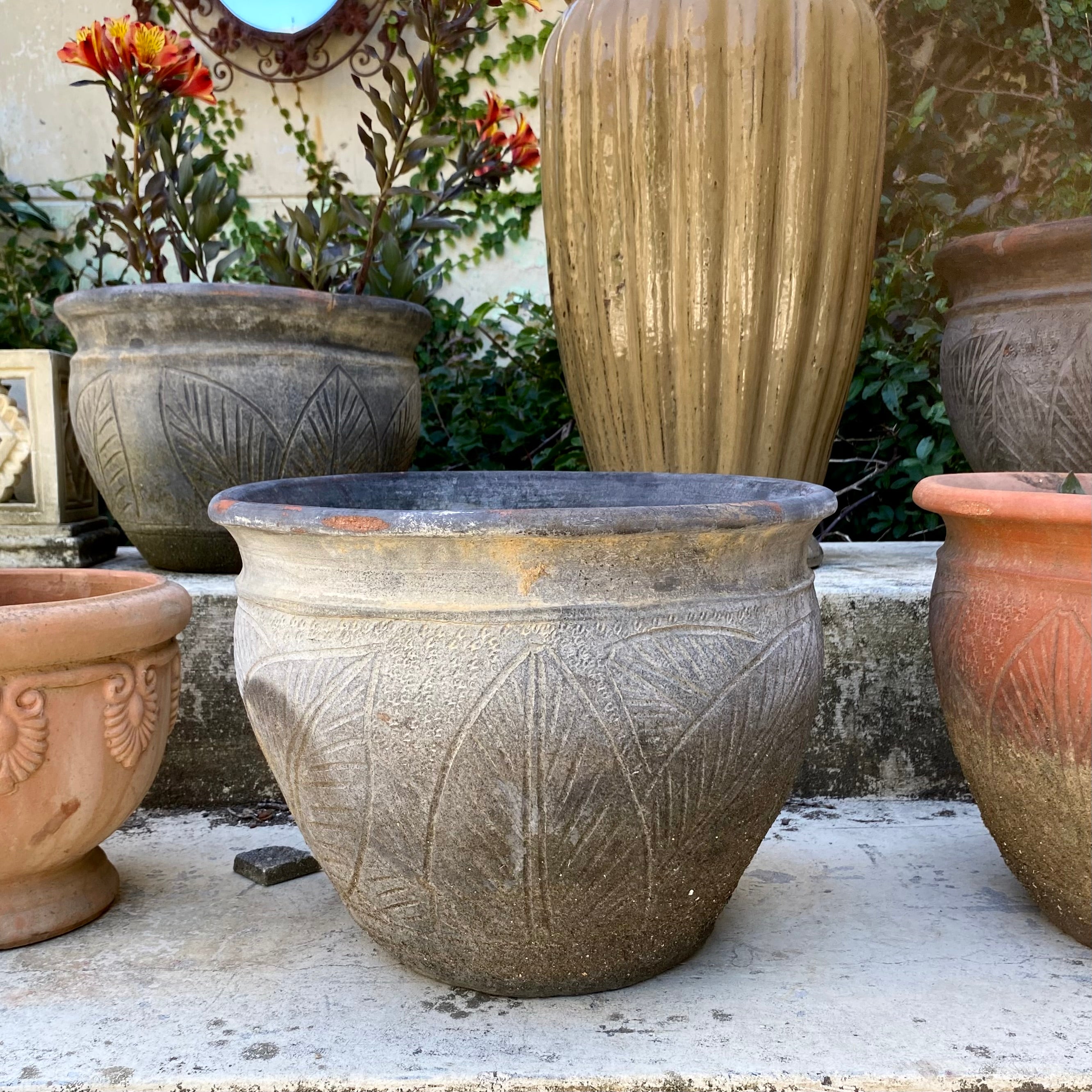 Medium Terracotta Pot with Leafy Print