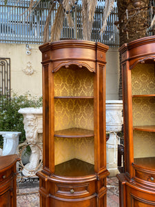 Amazing Antique Rosewood Cabinet Set