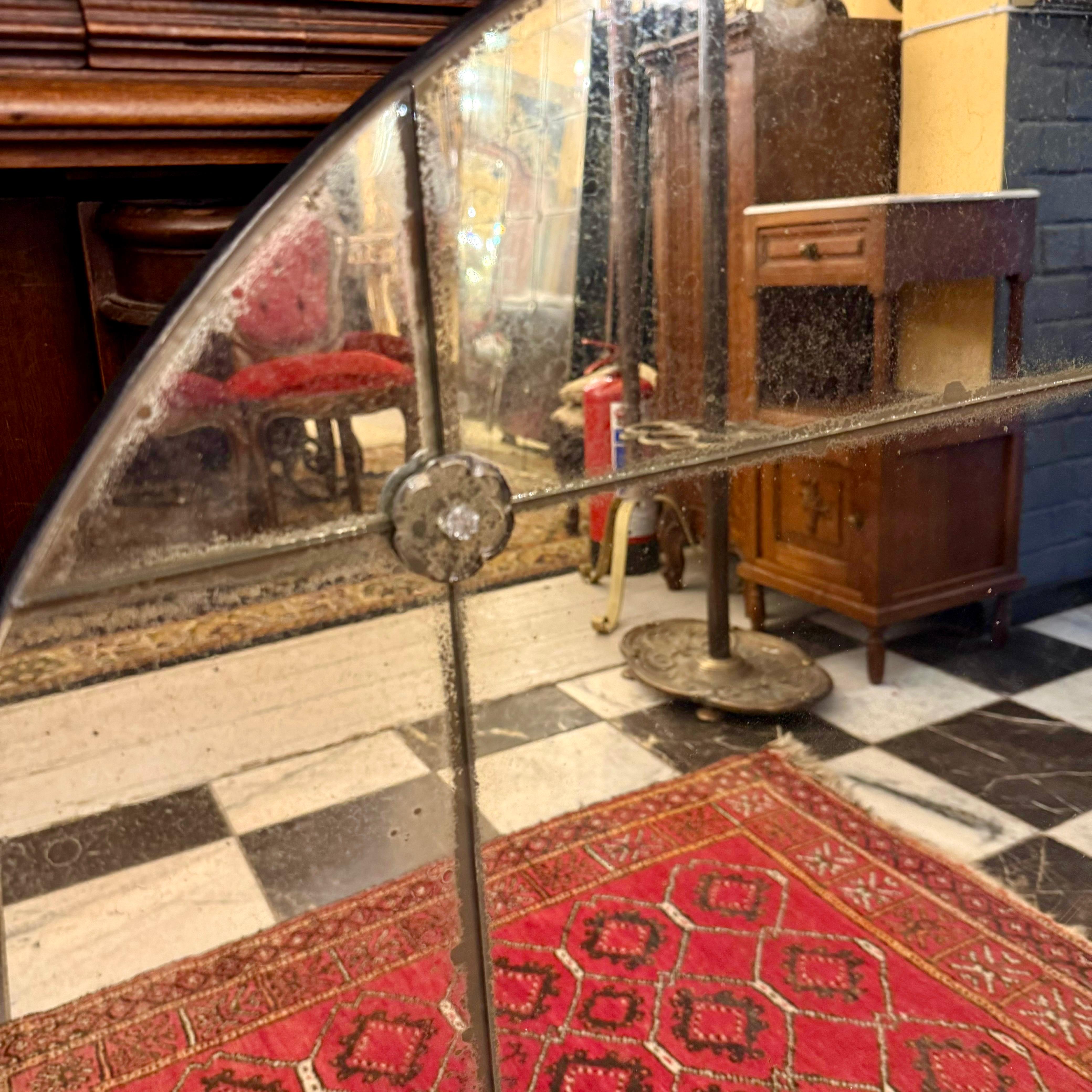 Aged Circle Panelled Mirror with Rosettes