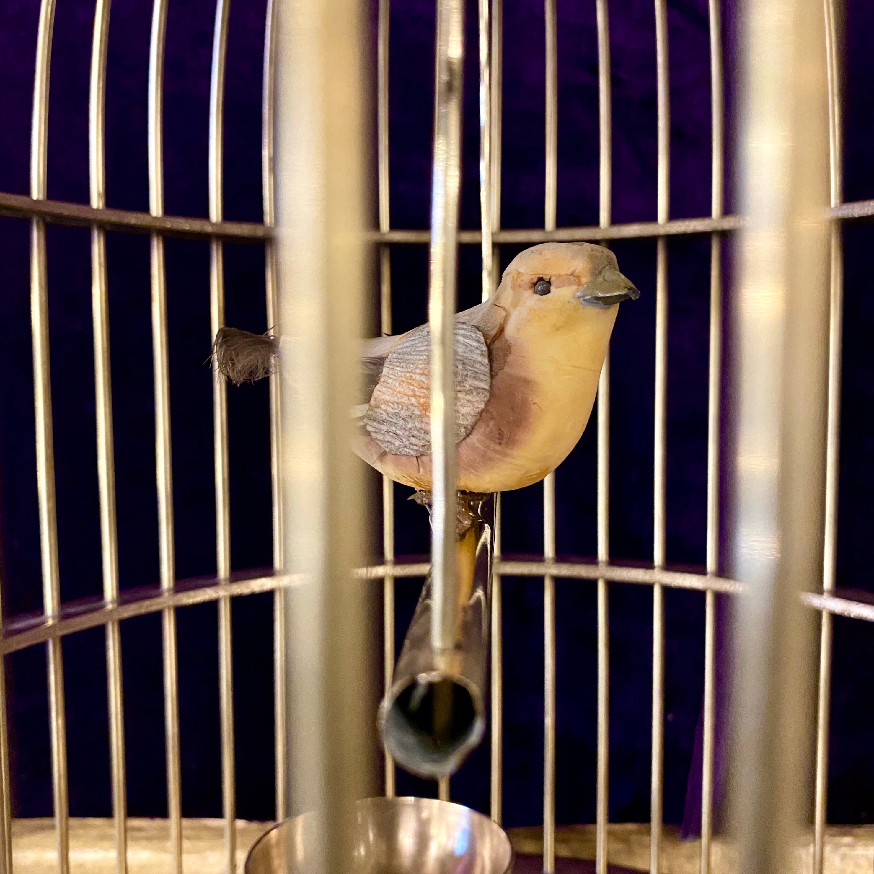 Vintage Polished Brass Bird Cage - SOLD