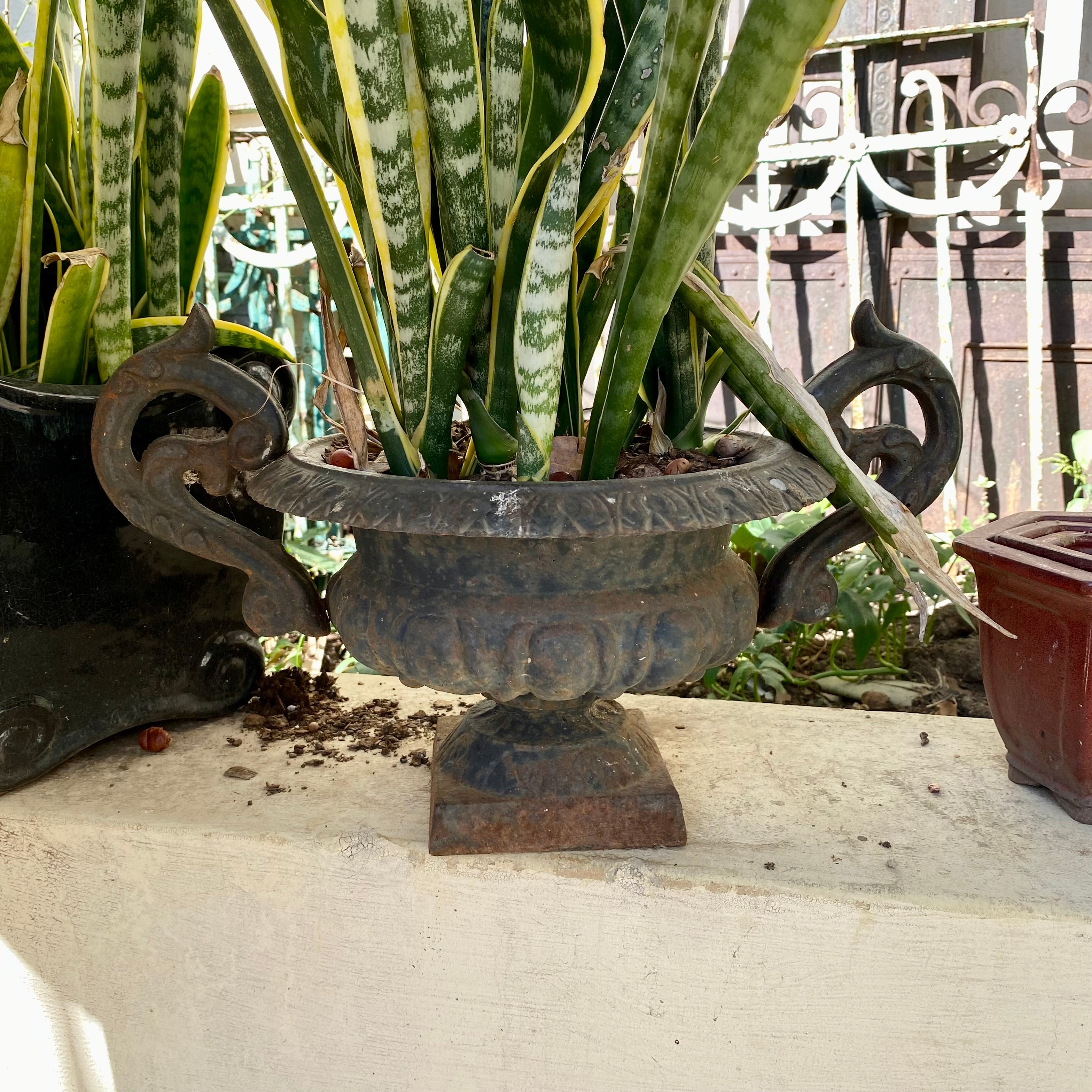 French Style Cast Iron Urn - SOLD