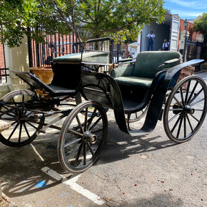 AMAZING Antique Horse Carriage with Velvet Seating