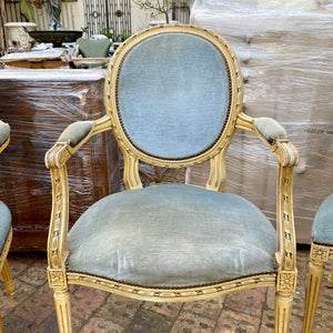 Antique French Dining Chairs